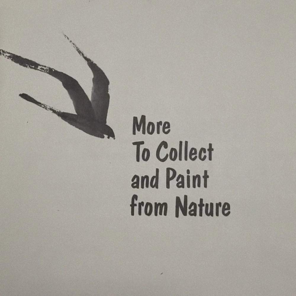 More‎ to Collect and Paint from Nature By John Hawkinson 1969 Illustrated